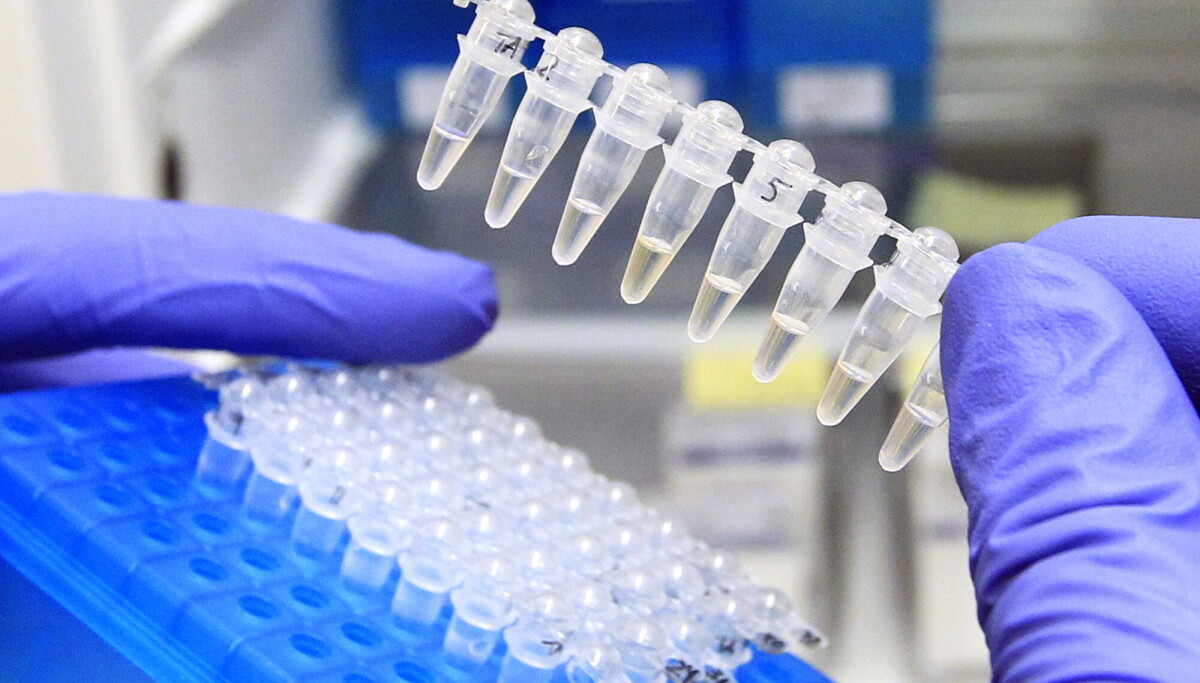 This is how DNA analysis has been revolutionized over the last decade