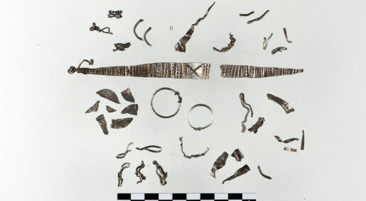 One Viking’s lost silver treasure discovered by metal detector enthusiast