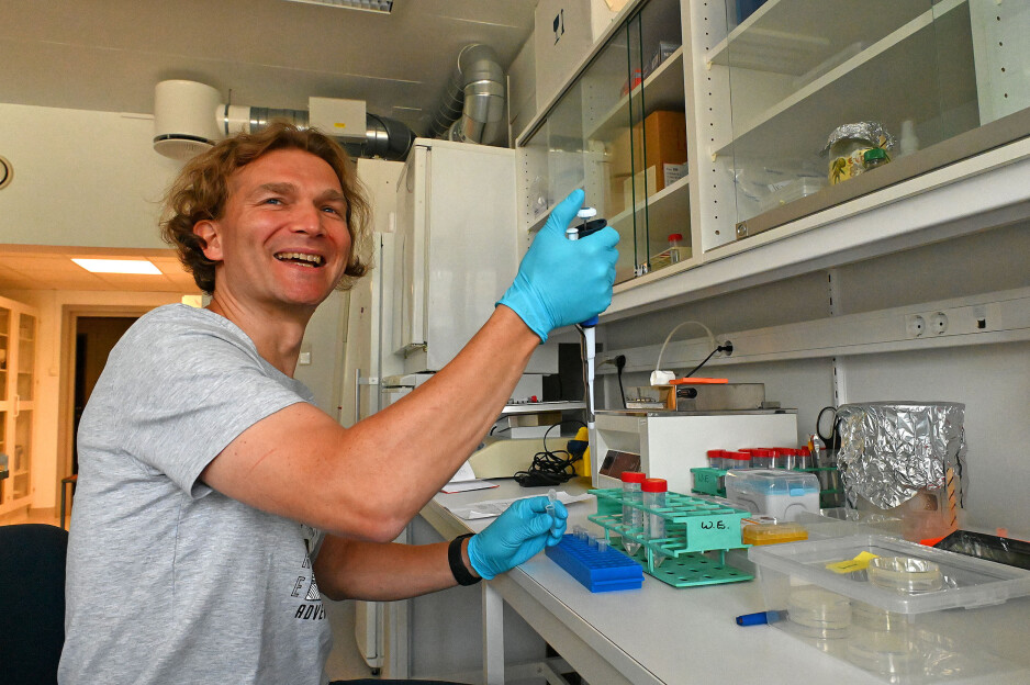Researcher Jędrzej Małecki in the worm lab.