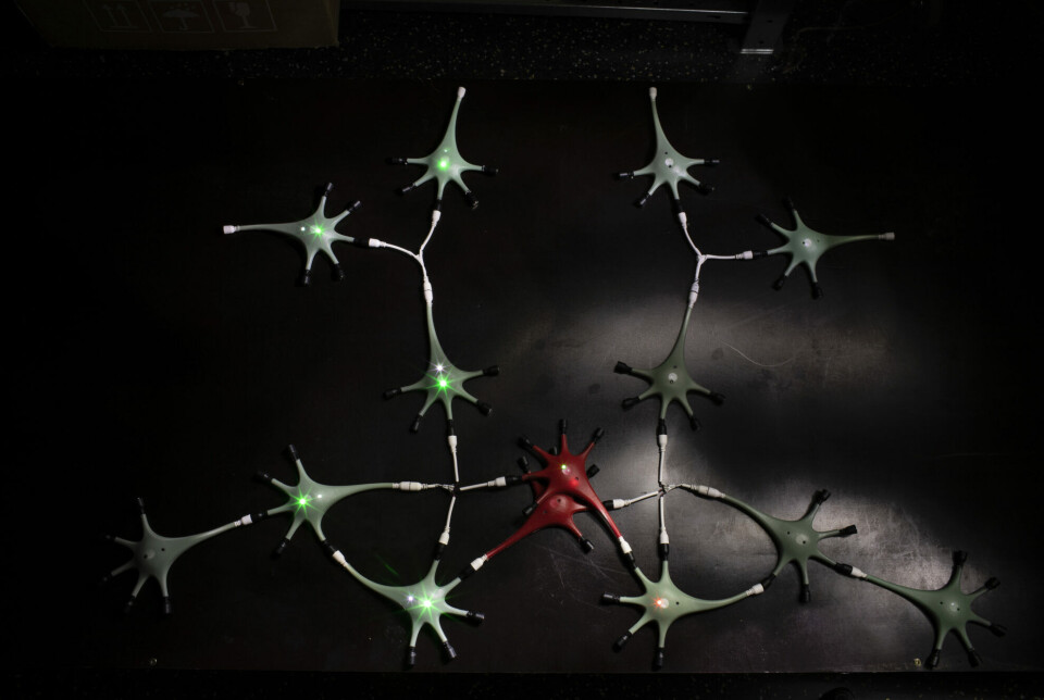 Simplified models illustrate various functions of the nervous system.