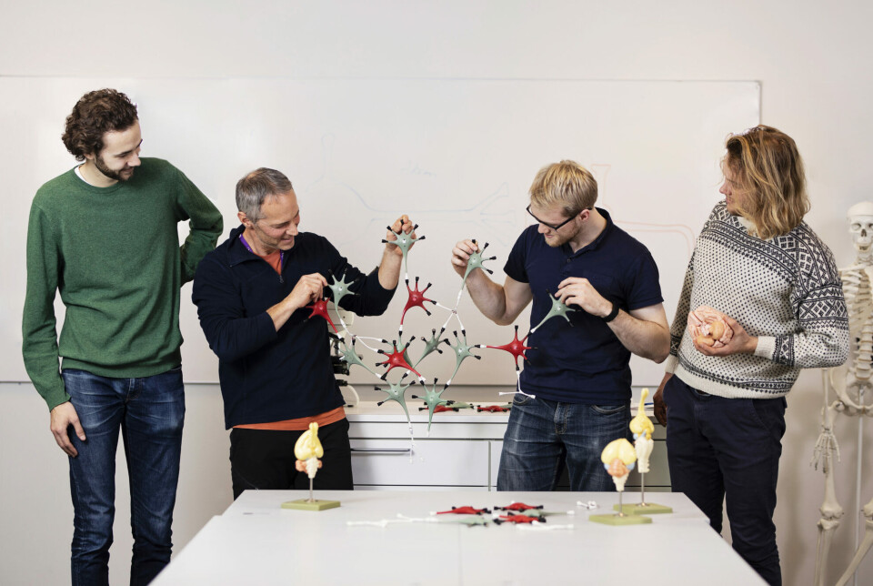 Master’s students in the teacher education program assist in the project. From left: Inge Eide Johnsen, Pål Kvello, Elias Lundheim, and Sven-Erik Markhus Kaiser.