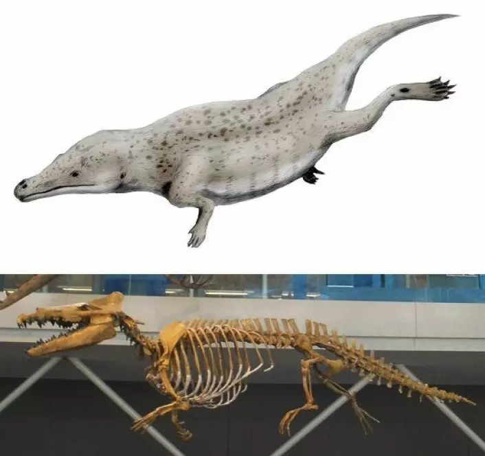 <span class="italic" data-lab-italic_desktop="italic">Maiacetus</span> was a whale on its way from land to water.