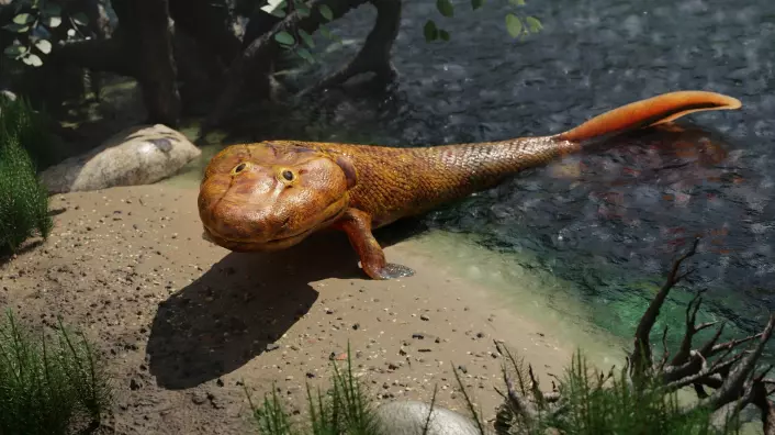 Tiktaalik had developed bones in its fins and could walk in shallow water.
