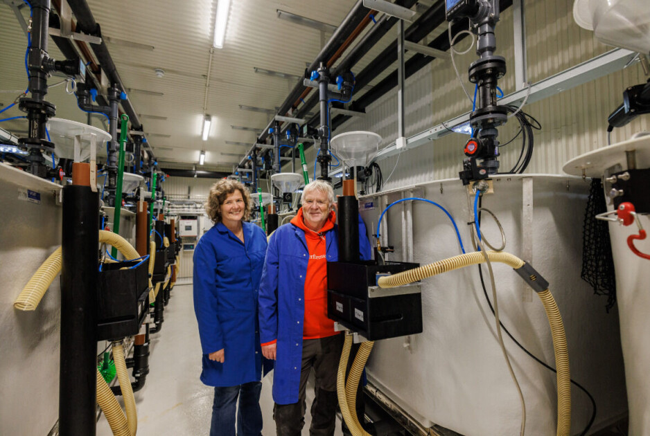 Scientist Turid Synnøve Aas and technician Frode Nerland proudly show off the feed box they have developed.