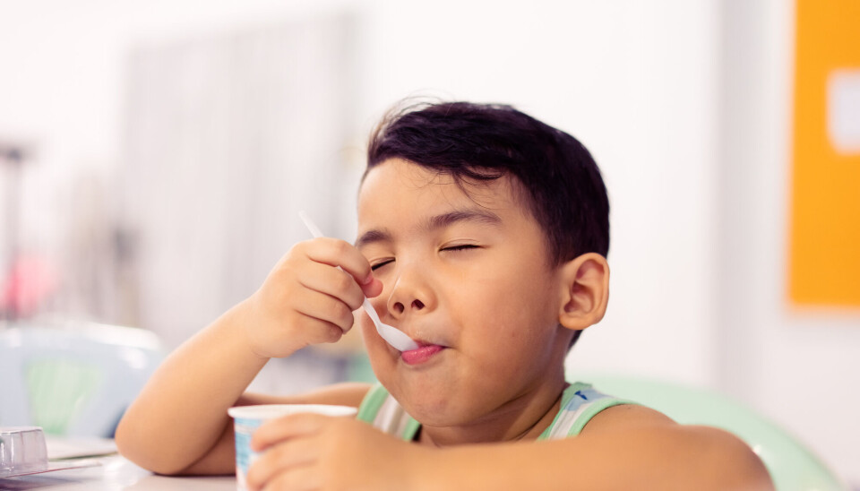 A research group at the Western Norway University of Applied Sciences (HVL) has been granted NOK 12 million by the Research Council of Norway to develop new ways of educating children on making good food choices.