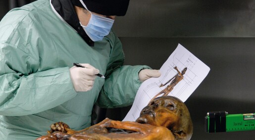 New research on 5300-year-old Ötzi suggests there could be more ice mummies out there