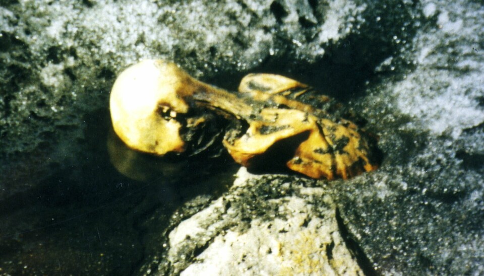 This is what it looked like when the married couple Helmut and Erika Simon discovered Ötzi's body protruding from the ice during a hike in the mountains on 19 September 1991.