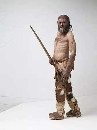 This reconstruction of Ötzi was made for the South Tyrol Museum of Archaeology in Italy in 2011. Ötzi was around 45 years old when he died. He weighed 50 kilos and was about 160 cm tall.