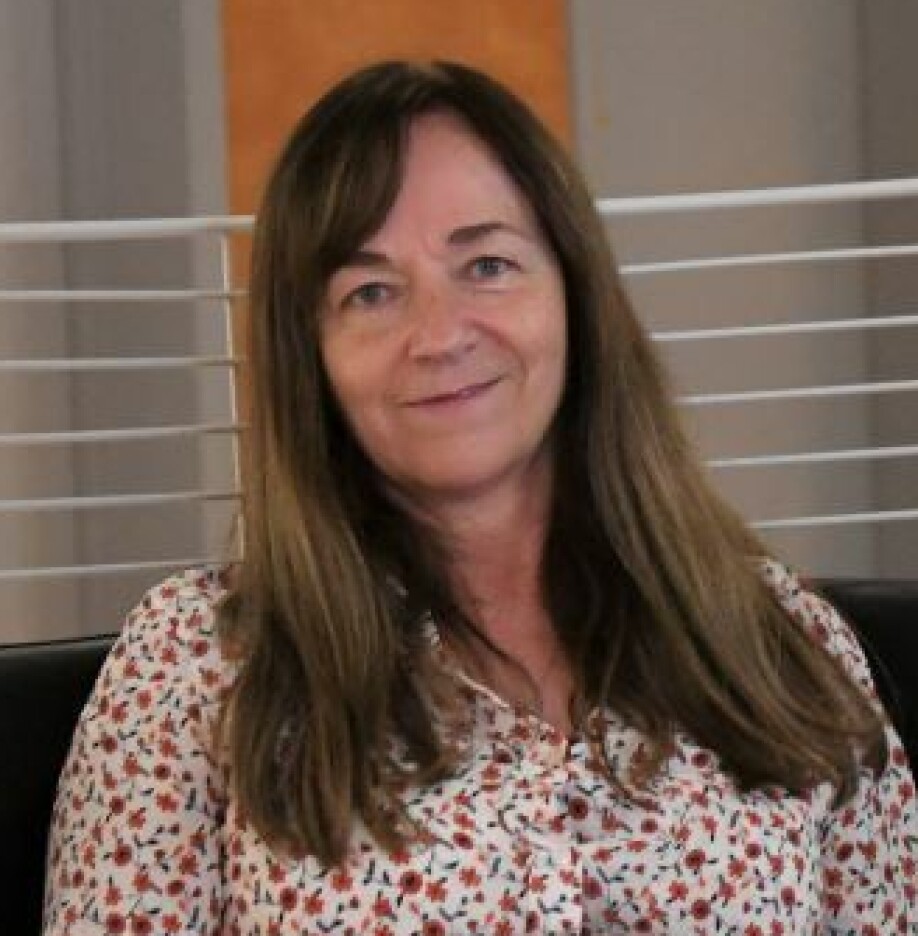Associate Professor Kristin Rygg at the Norwegian School of Economics.