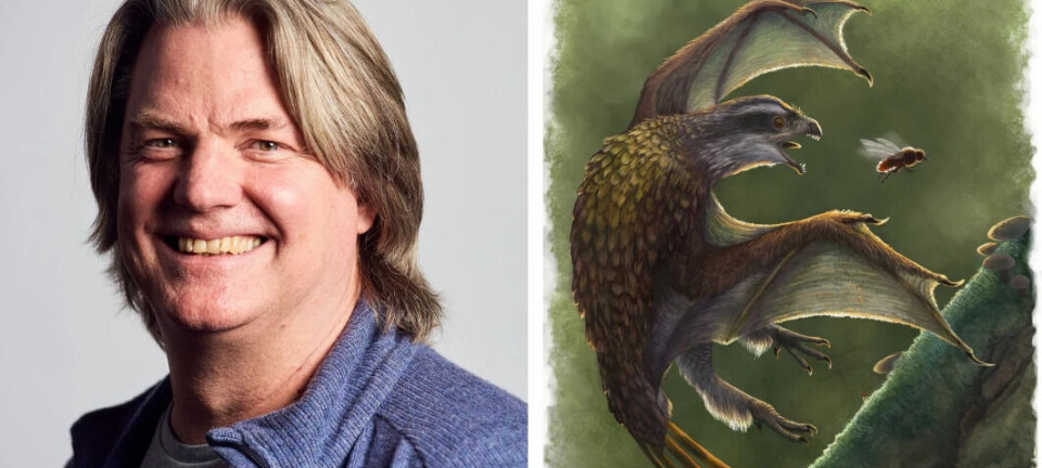 Here are 12 of the most exciting prehistoric animal discoveries