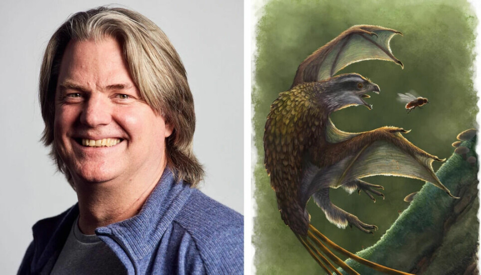 Palaeontologist Jørn Hurum talks about some of the most remarkable discoveries that have been made in the last 20 years. On the right is an artist's interpretation of a dinosaur find with the shortest name: Yi qi.