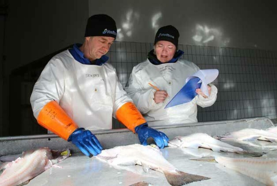 Scientists Torbjørn Tobiassen and Silje Kristoffersen have conducted several investigations into the quality of seine net catches.