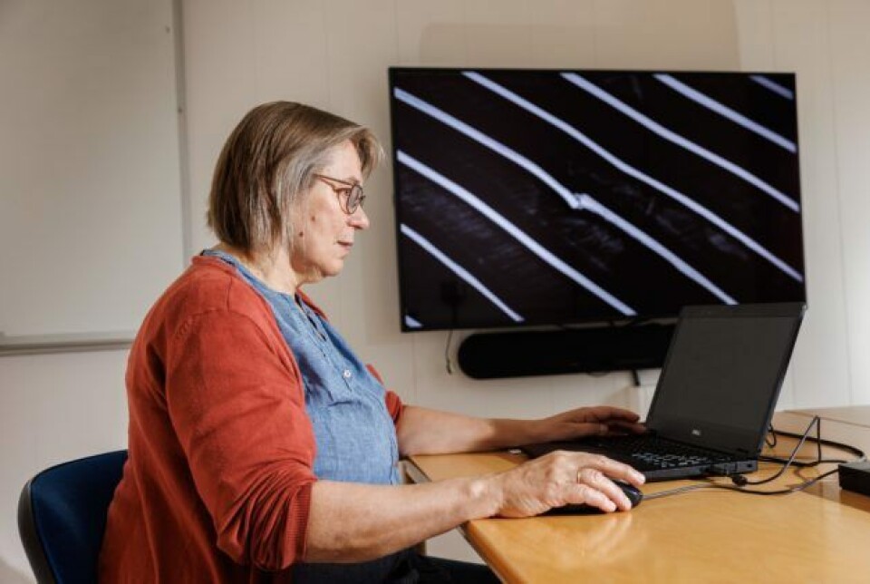 Senior scientist Grete Bæverfjord has revealed that rib fractures are a cause of melanin spots.
