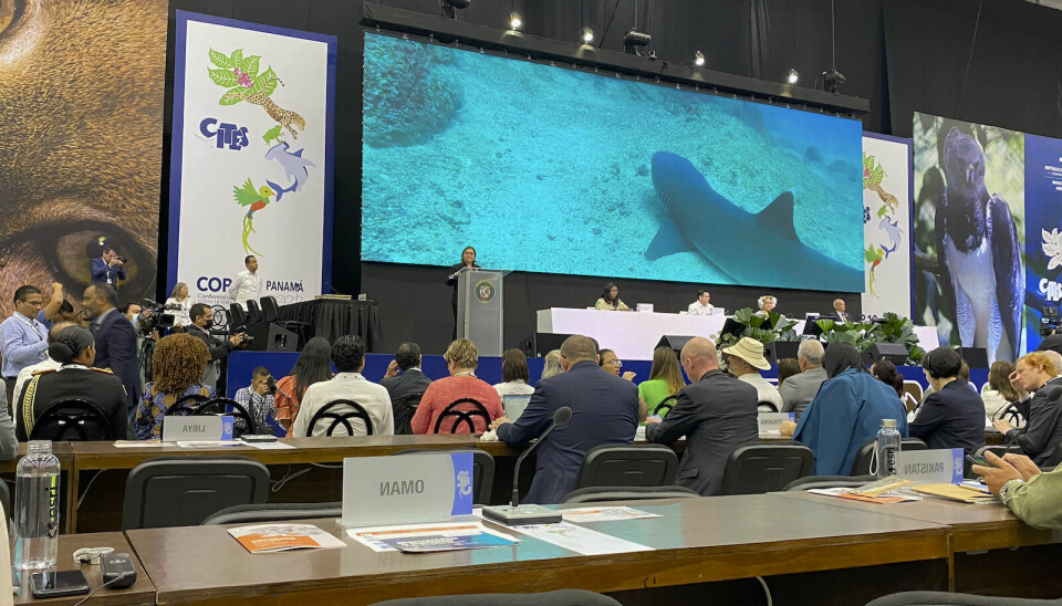 CITES CoP19 getting started in Panama