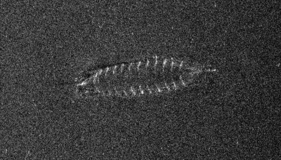 Sonar images reveal the existence of a shipwreck, possibly from the Middle Ages, at the bottom of Norway's largest lake, Mjøsa.