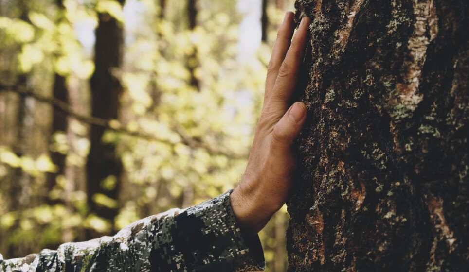 'Out in green spaces, surrounded by birdsong, the sound of running water, and the smell of vegetation, we understand that we are part of something bigger,' Professor Solveig Bøe says.