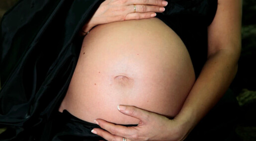 It is not dangerous to get pregnant right after a miscarriage It is not dangerous to get pregnant right after a miscarriage
