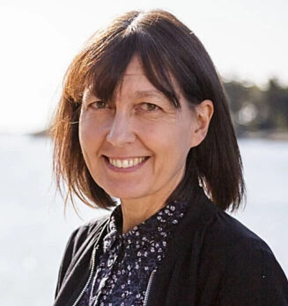 Jellyfish are not the easiest animals to research. The jelly consistency simply makes it difficult to catch them, researcher Tone Falkenhaug explains.