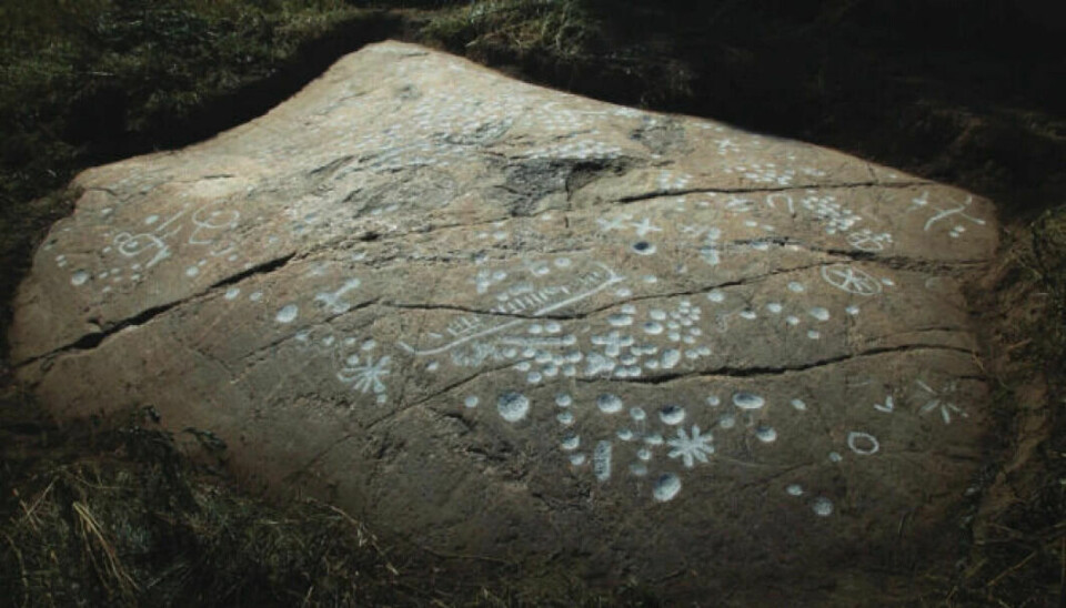 On a rock outcrop in a small field in Råde municipality during Easter 2020, the three petroglyph hunters came upon a distinctive site with about 575 cup marks, 28 crosses, eight star figures, one to two boats and a large number of strange figures and web structures. Everything is concentrated within a few square metres. This is one of the strangest petroglyph discoveries made in Norway in recent years. Aerial photography has shown that the petroglyphs are close to a larger field containing ploughed burial mounds.