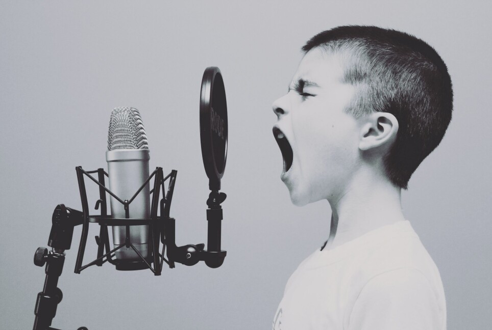 We are easily able to perceive the human voice, even short vowel sounds.