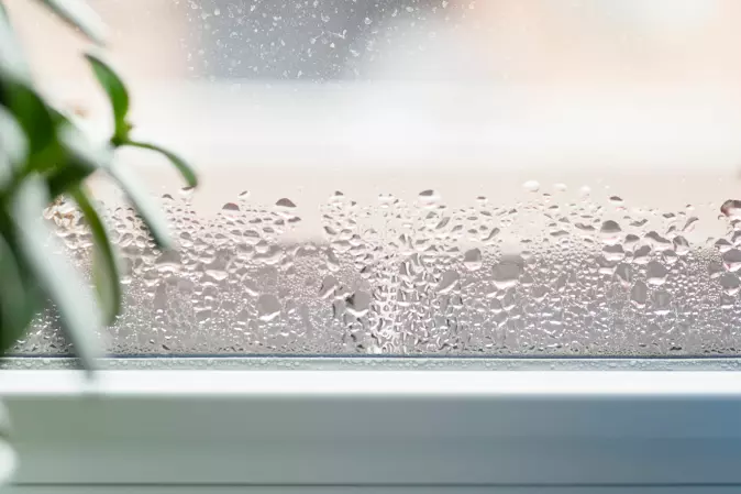 Windows can fog up even if the relative humidity indoors is low, and especially if the windows are poorly insulated.