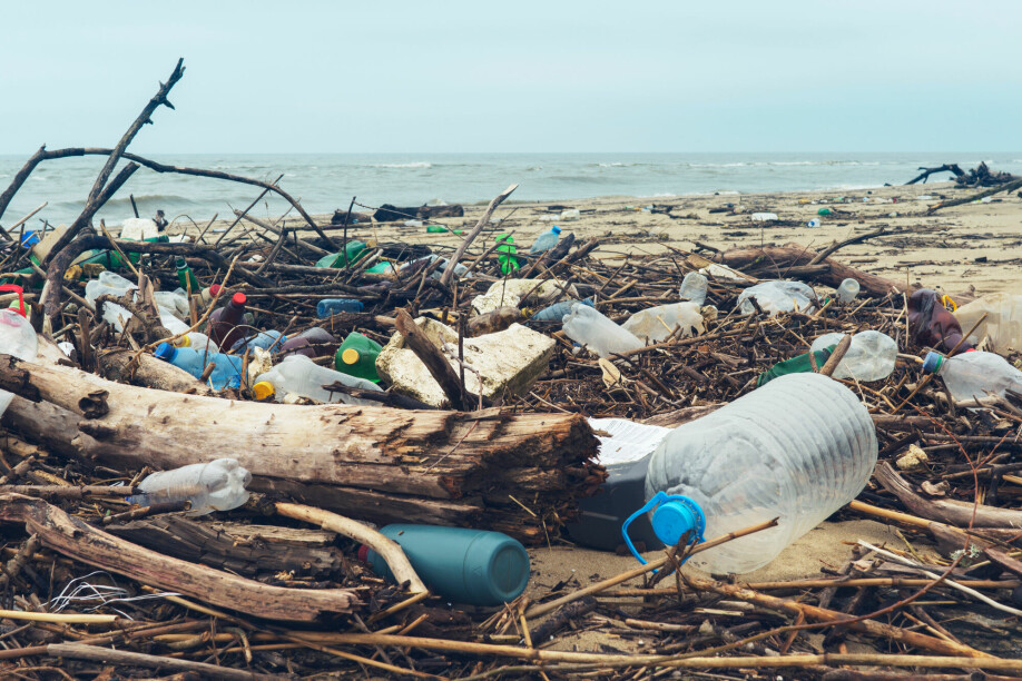 A great deal of plastic has ended up in the environment.