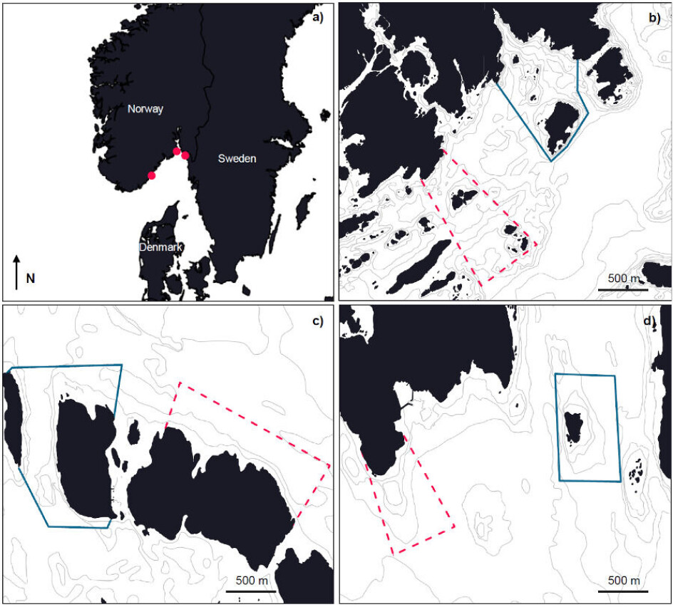 Here are the three lobster reserves: The three areas in Aust-Agder, Vestfold and Østfold were compared have all been lobster reserves since 2008. Lobster fishing is prohibited.