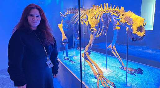 The plan was to renovate a laundry room. But then bones from a 12 000 year old polar bear showed up The plan was to renovate a laundry room. But then bones from a 12 000 year old polar bear showed up