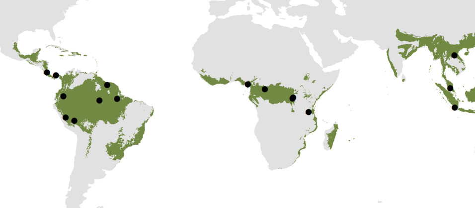 This map shows the different locations of the cameras used in the study.