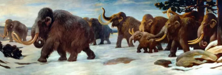 A mammoth mural created by paleo-artist Charles R. Knight in 1916.