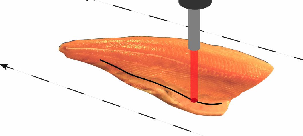 Fatty acid composition in the salmon fillet can be measured in seconds