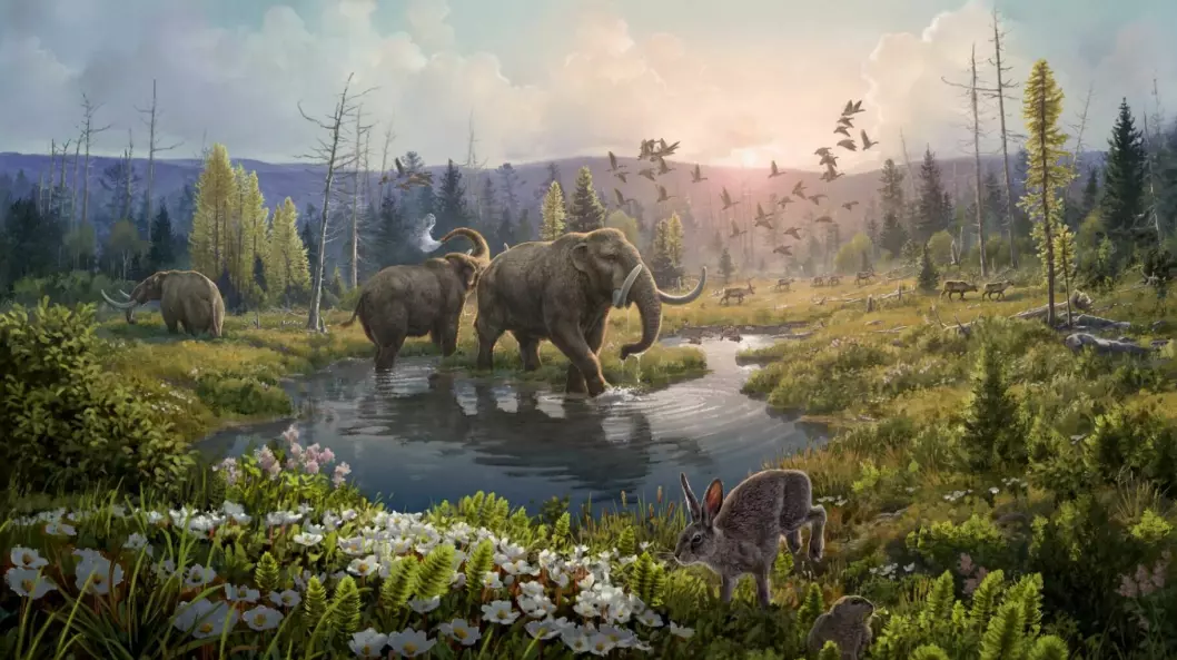The illustration shows what Greenland might have looked like two million years ago. Researchers found DNA from mastodons and plants like we see in the picture, including spruce, larch, pine, dwarf willow, mountain avens and horsetail.