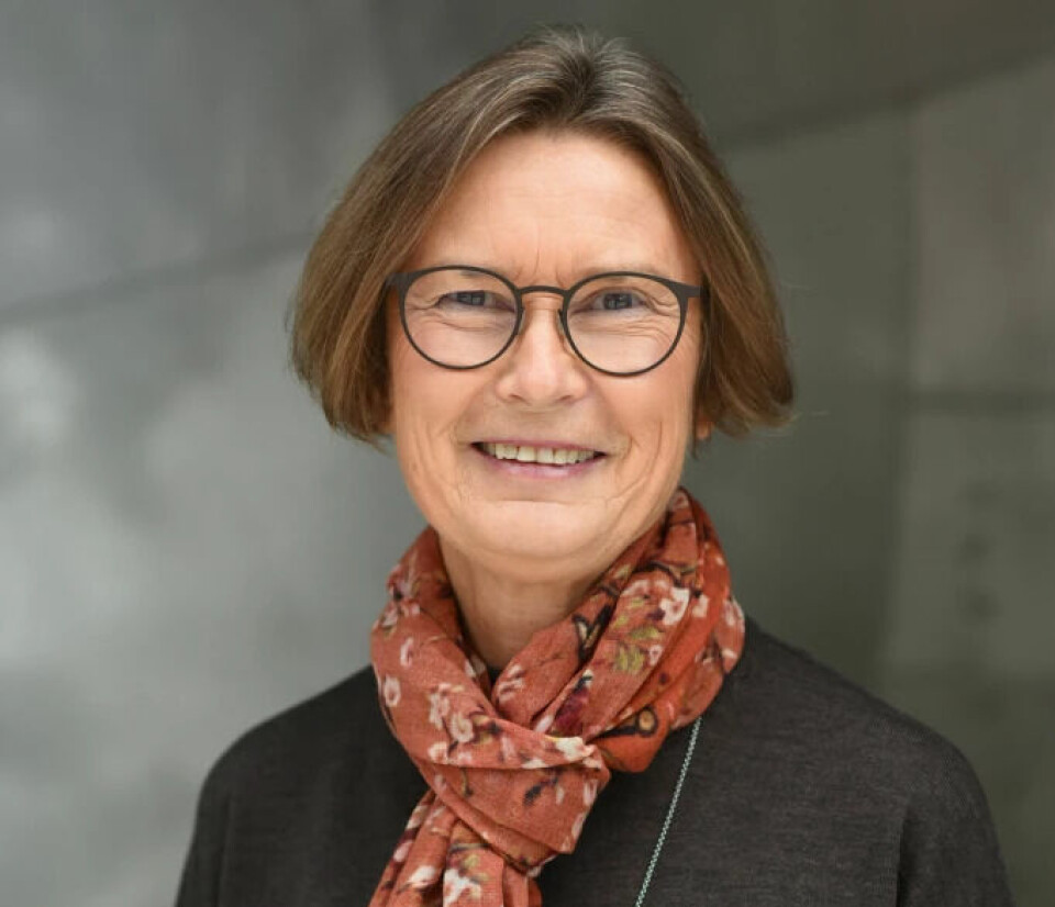 Professor Helje Kringlebotn Sødal reveals several hidden symbols hiding on the Christmas tree.