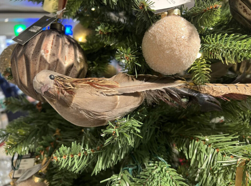 The bird, or the dove in particular, is a symbol of the Holy Spirit.