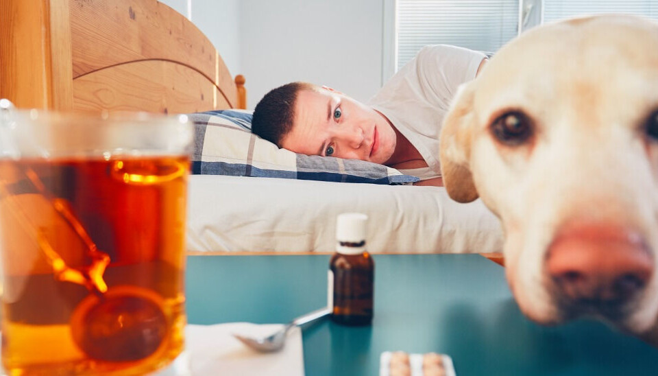 Feeling sick and tired. But is it from influenza, Covid-19, or just a cold? You may soon be able to figure this out with a little gadget you have at home.