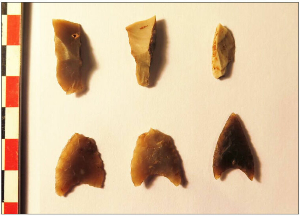 Arrowheads found during the excavation at Havsjødalen.