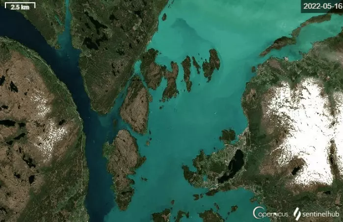 Satellite image of an algae bloom in Hardangerfjorden. The water turns from a very dark blue in late April to a bright green in early May.