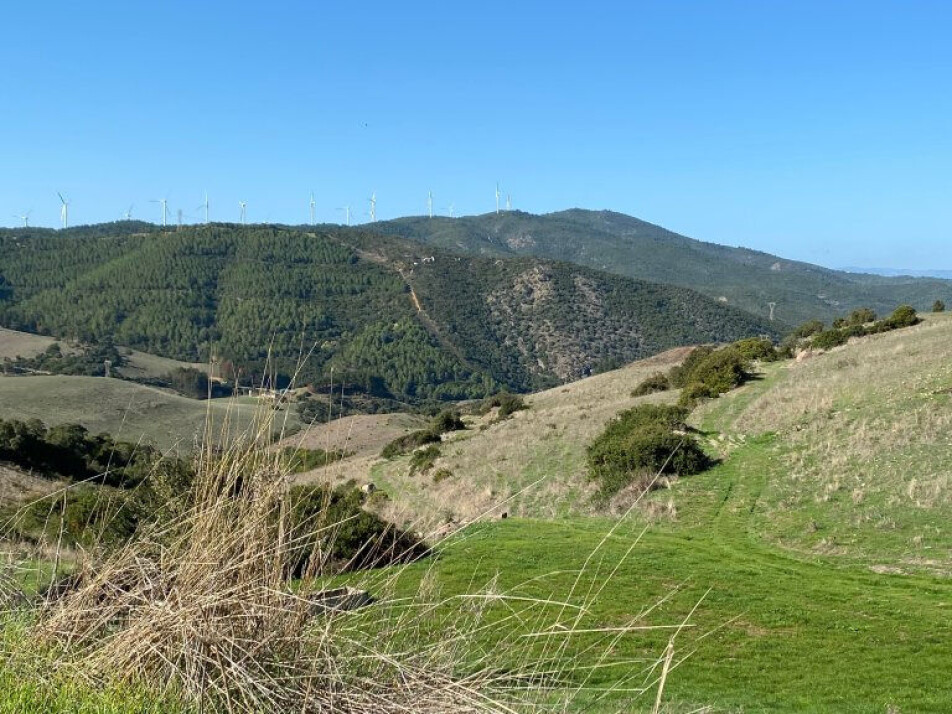 There has been a gradual development in the grazing industry towards a more efficient operation, both in Sardinia and in Norway. The sheep are often kept in the lowlands instead of grazing in the mountain areas. This causes a lot of overgrowth in the highlands.