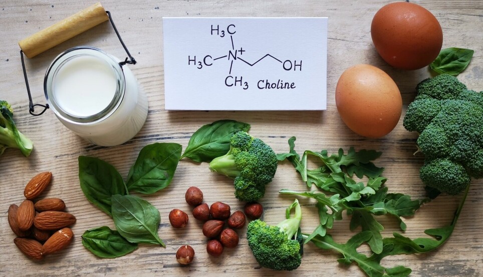 A number of animal and plant foods contain choline. The most highest amounts are found in beef liver and eggs.
