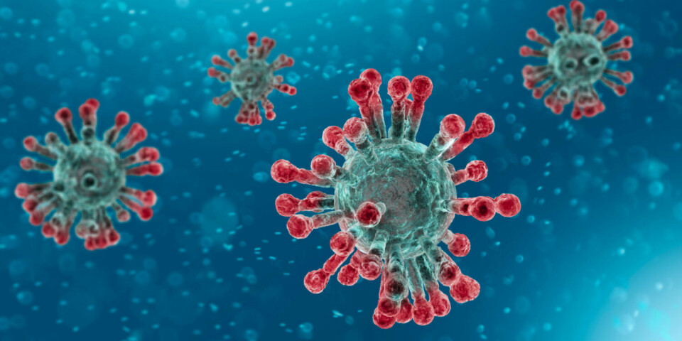 One path to developing a new COVID test method is to study the optical properties of the coronavirus and how they differ from other particles in our blood.