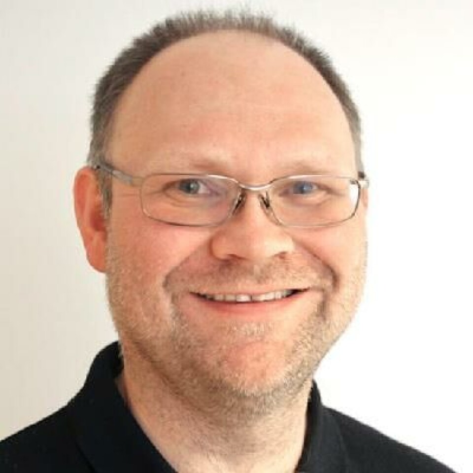 Ingve Simonsen, a physics professor at NTNU.