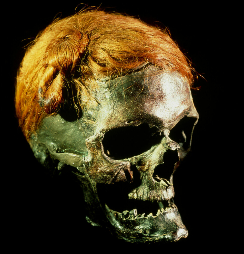 The skull that is called the Osterby Man. The man must have lived during the first centuries AD. Note the very well preserved hair with a preserved hair knot. This knot is called a Swabian knot and illustrates an almost 2,000-year-old hairstyle.