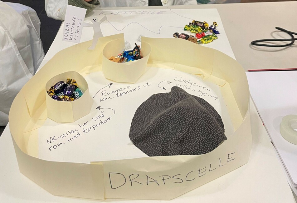 The illustration shows an NK cell, or killer cell, meeting a cancer cell. The killer torpedoes, which are illustrated using chocolates, attack the cancer cell.