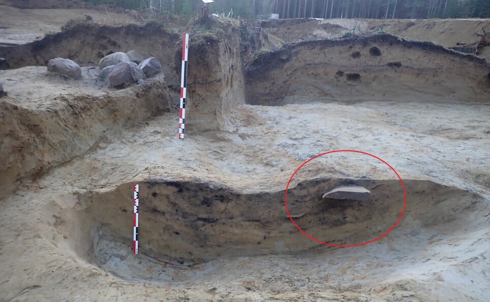 The Svingerud stone is marked in this photo with a red ring. The photograph shows the way it stuck out in the excavation field.