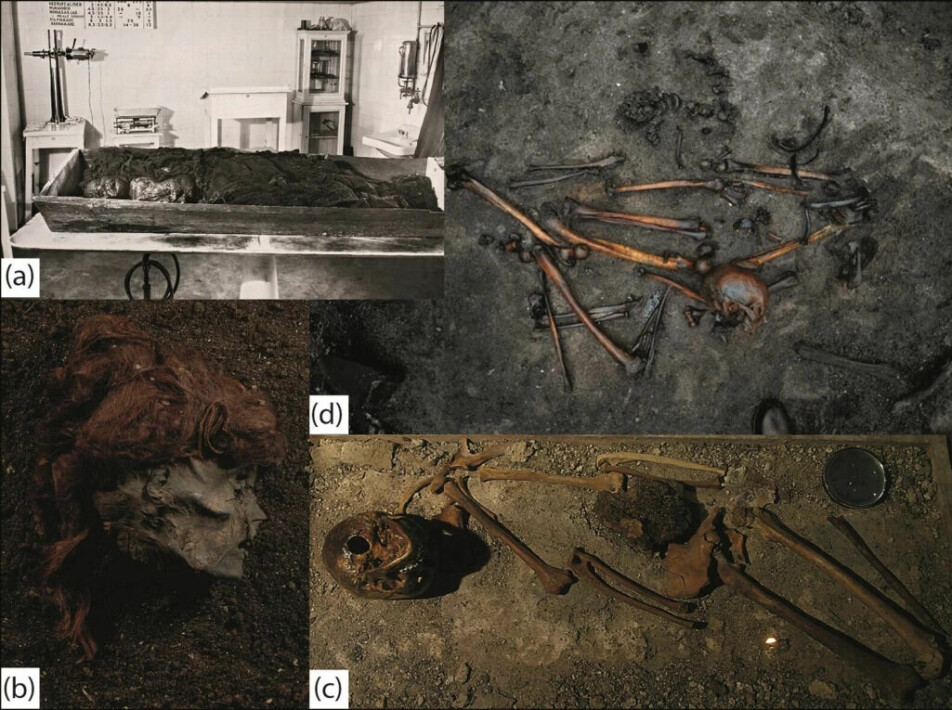 The image shows different types of remains that have been found in bogs. Everything from skeletons to very well-preserved corpses have been uncovered. The head on the lower left was found at Stidsholt in Denmark and is from a person who was beheaded.
