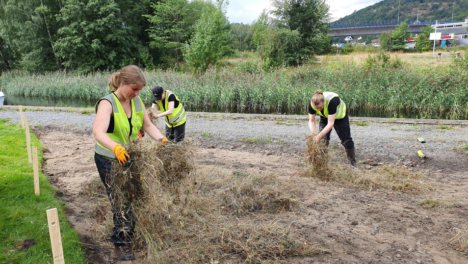 “At NINA, we are exploring methods for both restoring these meadows and creating additional pollinator habitats,” Dr. Megan Nowell, who leads the FlowerMeds project, says.
