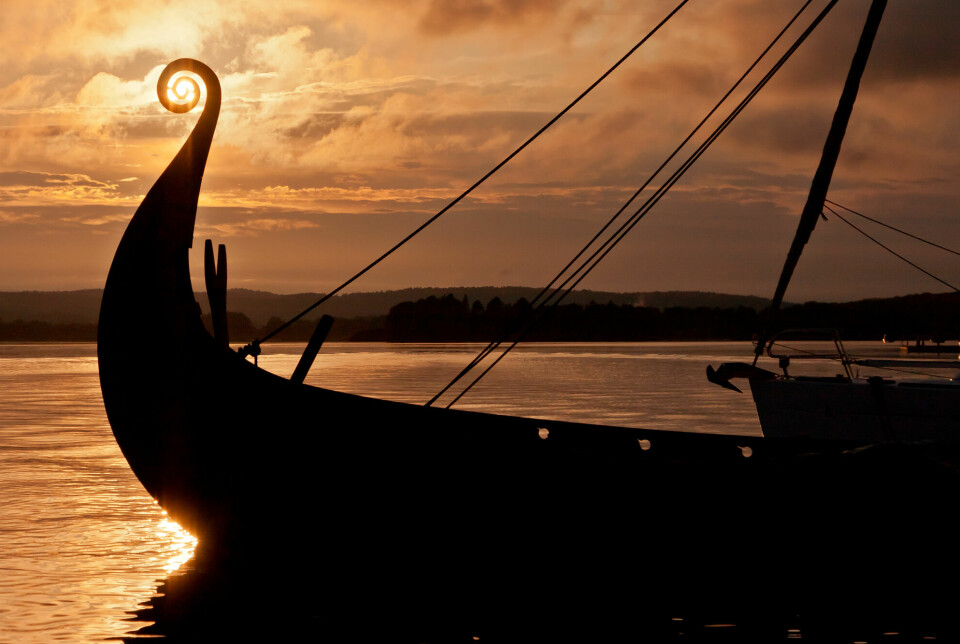 It was possible, practically speaking, to bring horses on Viking ships, says Professor Jan Bill.