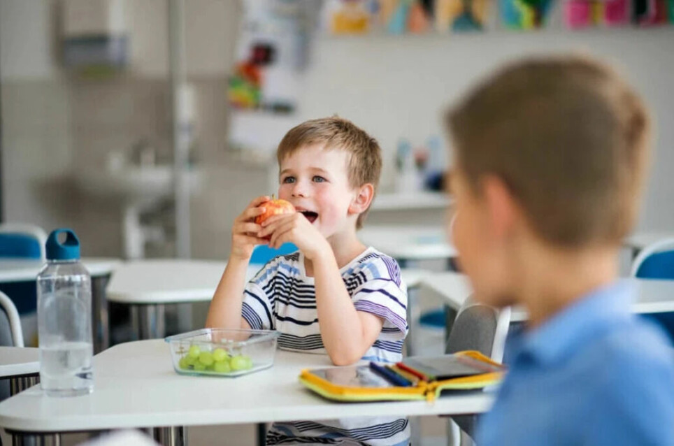 The European school fruit and vegetable scheme provides school children with free fruit and/or vegetables.