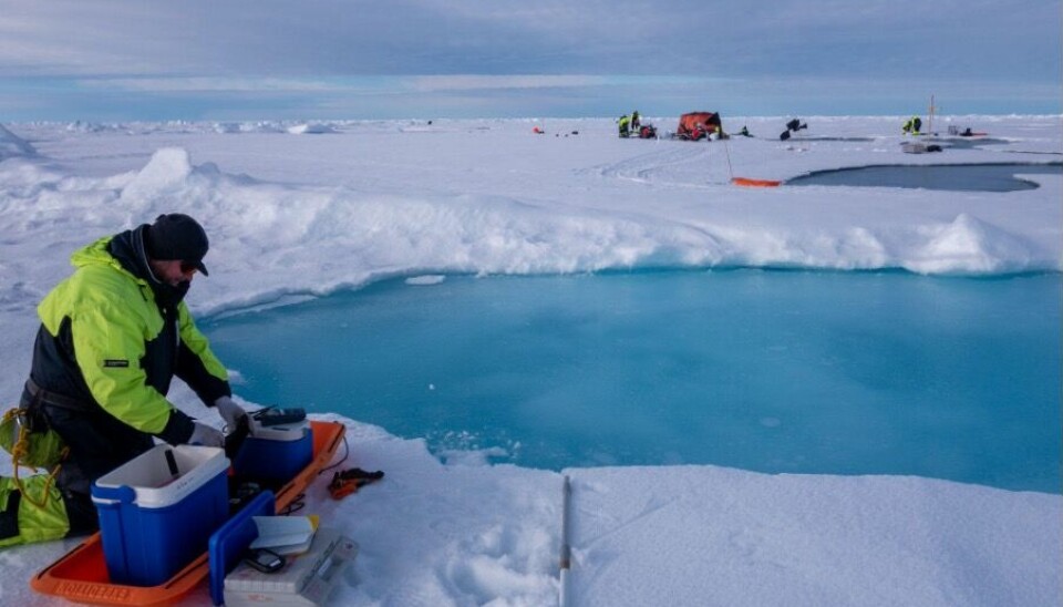 Taking water samples from a melt pond for chemical analysis on an ice floe in the Arctic Basin during the Arctic Ocean cruise in August 2022.