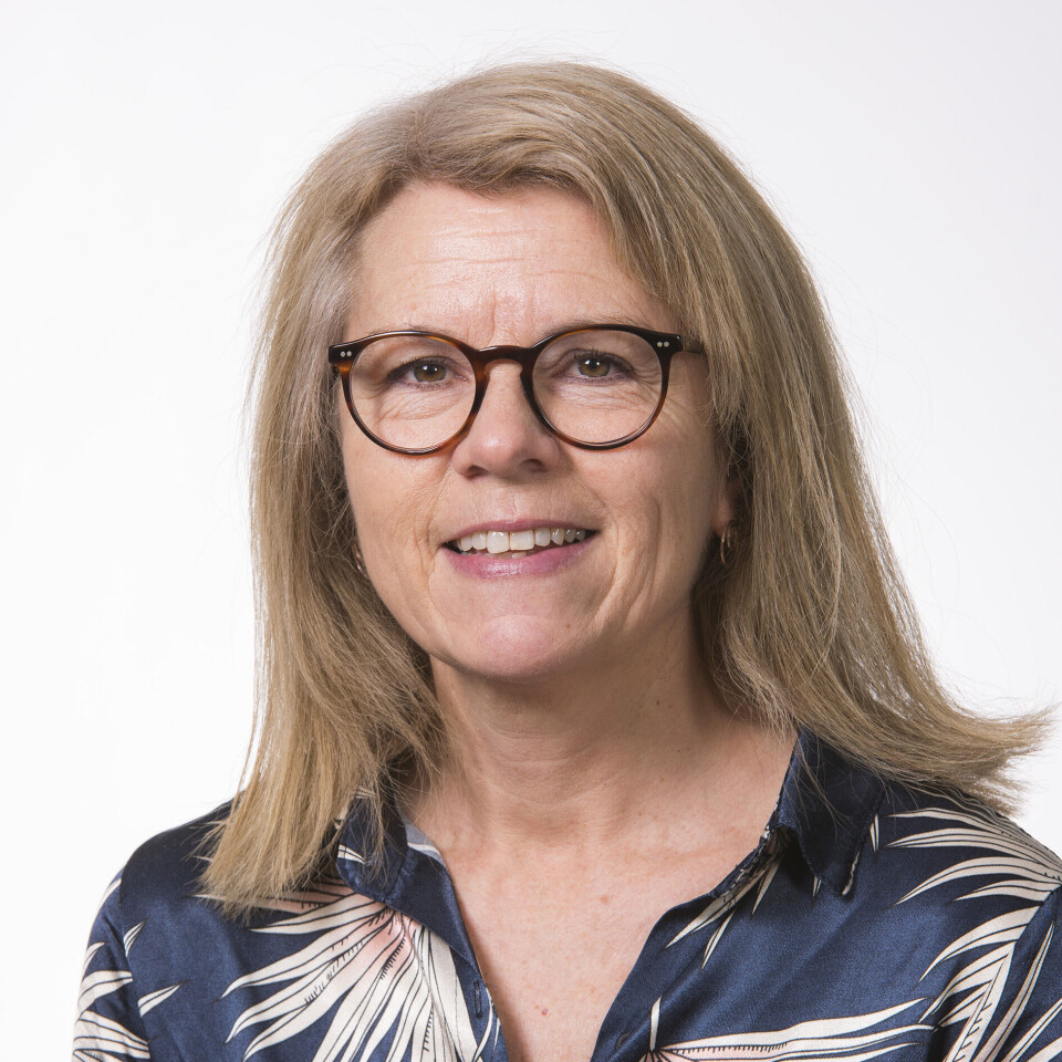 Senior research scientist Marian Ådnanes at SINTEF.